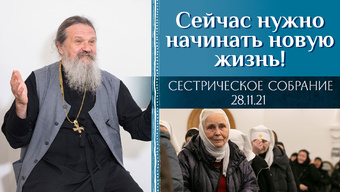 Чего нам не хватает сегодня? Сестрическое собрание с о. Андреем Лемешонком 28.11.2021