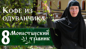 Чем необычен корень обычного одуванчика? Монастырский травник