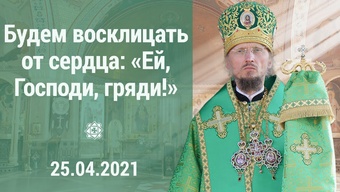 «Ей, Господи, гряди!» Проповедь митрополита Вениамина в праздник Входа Господня в Иерусалим