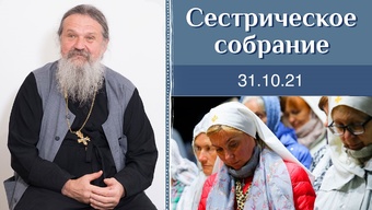 Идти, не сбиваясь с пути. Сестрическое собрание с о. Андреем Лемешонком 31.10.2021