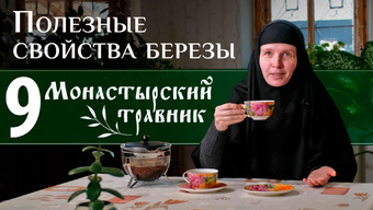 Листья и почки березы — для иммунитета и не только! Монастырский травник.