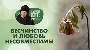 Что значит «Любовь не бесчинствует и не ищет своего»? «Давайте жить здорово!»