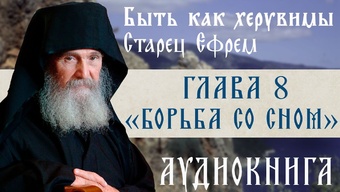 АУДИОКНИГА. Старец Ефрем Филофейский: «Моя жизнь со старцем Иосифом». Глава 8
