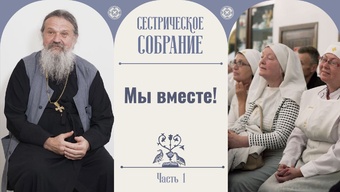 «Мы вместе». Юбилейное сестрическое собрание с о. Андреем Лемешонком. Часть 1