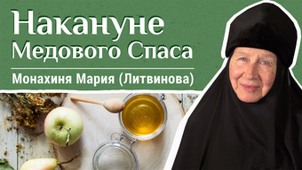 Накануне Медового Спаса — о меде и празднике. «Давайте жить здорово!»