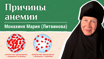 Почему снижается гемоглобин? «Давайте жить здорово!»