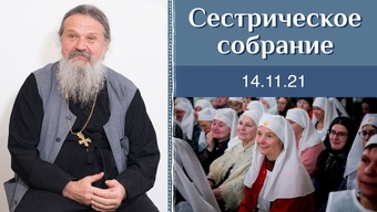 «Развитие» мира — непрерывный процесс. Сестрическое собрание с о. Андреем Лемешонком