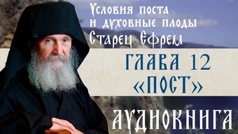 АУДИОКНИГА. Старец Ефрем Филофейский: «Моя жизнь со старцем Иосифом». Глава 12 «Пост»