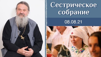 Задание от Бога. Сестрическое собрание с о. Андреем Лемешонком 08.08.2021