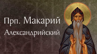 Житие прп. Макария Александрийского († 394–395). Память 1 февраля