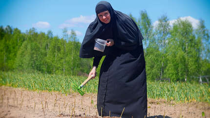 Весенние заботы