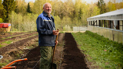 Весна на подворье