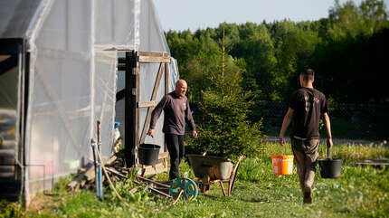 На подворье в деревне Лысая Гора