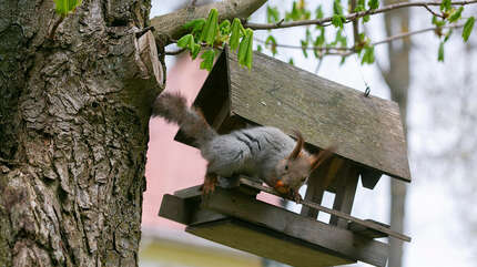 Какая красота!