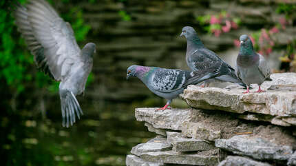 Весна в монастыре