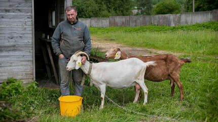 Деревенское лето