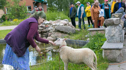 Отдых в деревне