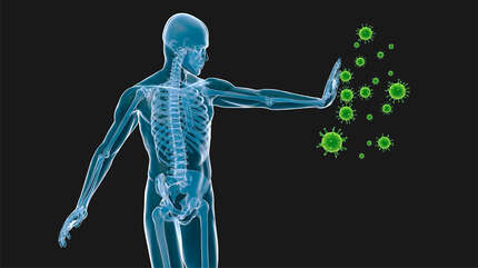 Иммунитет — круговая оборона