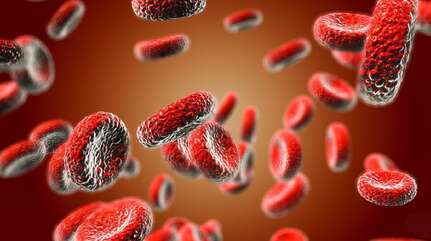 Анемия и травы-«лекари»