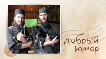 Про День автомобилиста и курьезы на дорогах