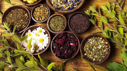 Лечение псориаза травами: и один в поле воин