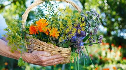 Лечим остеоартроз — травами и не только