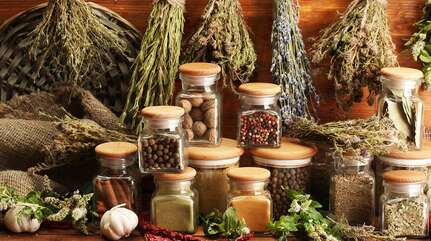 Лекарственные травы — вопросы и ответы