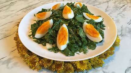 Летний салат из листьев одуванчика, рукколы, сныти и крапивы