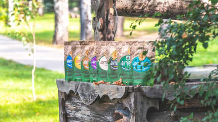 «Монастырский сад» — фиточаи с молитвой и любовью