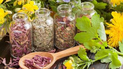 Не навреди — советы Евгения Шмерко