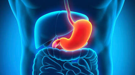 Питание при язвенной болезни желудка