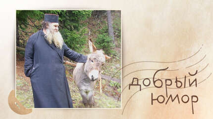 Про крепкий сон и новую жизнь с понедельника