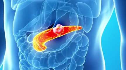 Строго по часам