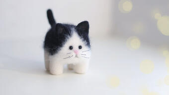 Валяние простых игрушек из шерсти