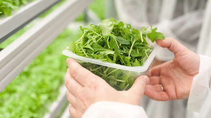 Вкусный и полезный салат при атеросклерозе