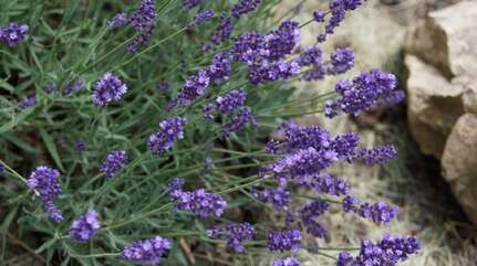 Бросаем курить и успокаиваем нервы