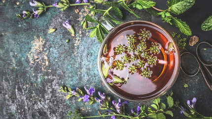 Чем лечить гастрит — советы травника (ч.1)