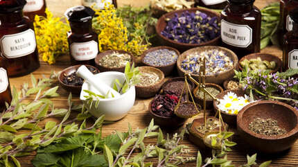 Чистая печень — залог здоровья мозга