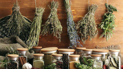 ДЦП — природные лекарства в помощь