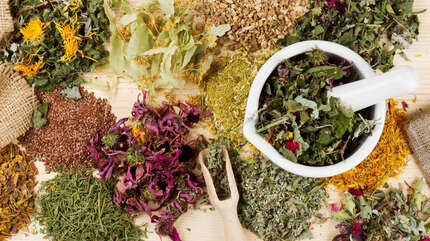 Гепатит — больная печень не болит