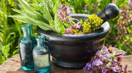 Инсульт и травы-помощники