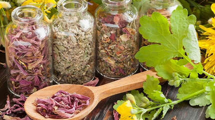 Ванны из трав — союзники в лечении псориаза