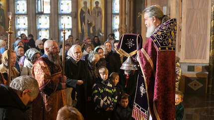 Боритесь за свет!