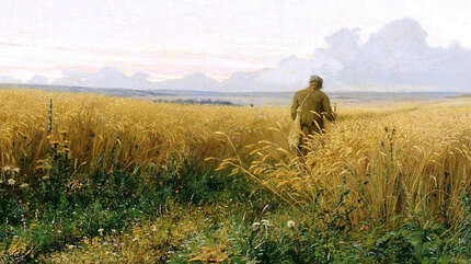 «Я домой пойду…»