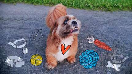 Марсик (часть 1)