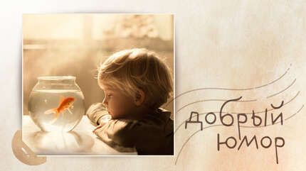 Про мечты и настоящий пост