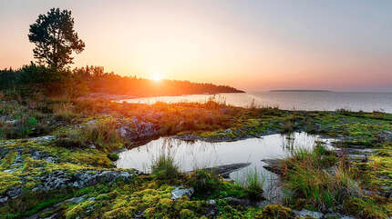 Навстречу вешнему расцвету