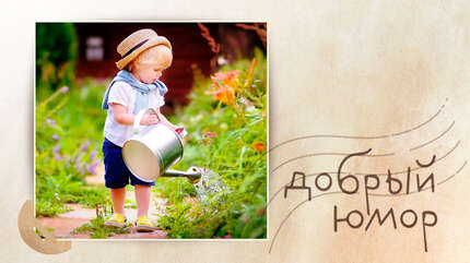 Про оптимистов и хорошие привычки