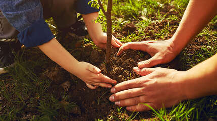 Освящение труда