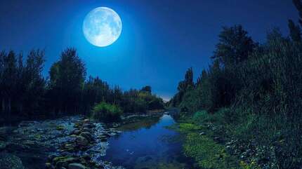 Повсеместный свет